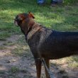 Treffen 2021 - 188